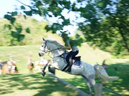 dsc06111_web